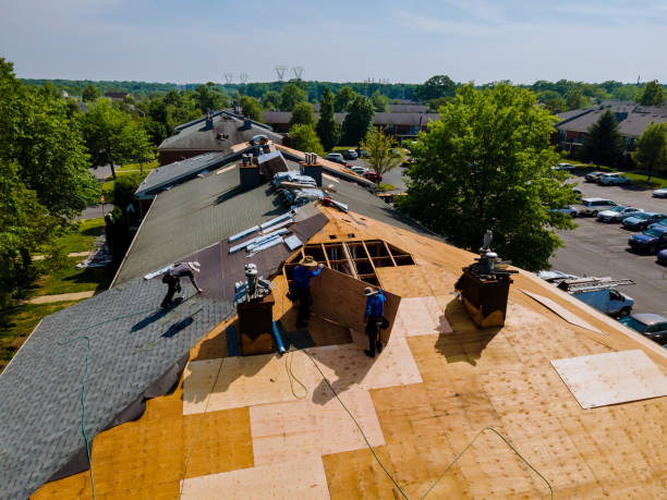 Best Roof Maintenance Services  in Mustang Ridge, TX