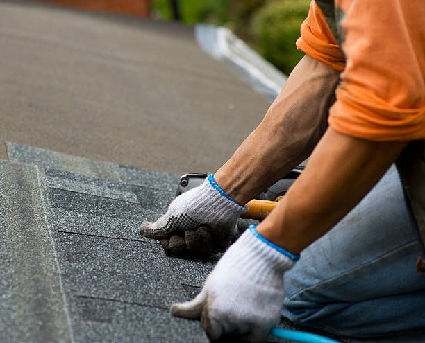Best Roof Repair Services  in Mustang Ridge, TX